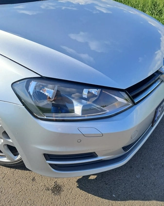 Volkswagen Golf cena 38000 przebieg: 177000, rok produkcji 2016 z Sulechów małe 277